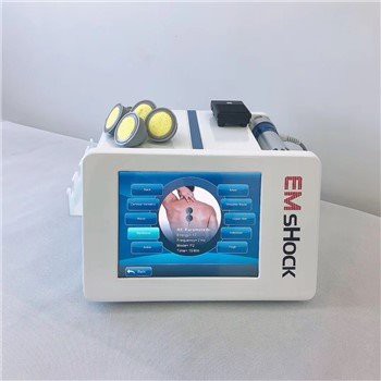 ماشین نظریه فیزیک Ems